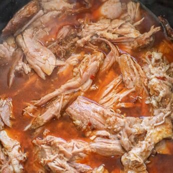 Image of Mexican Pulled Pork