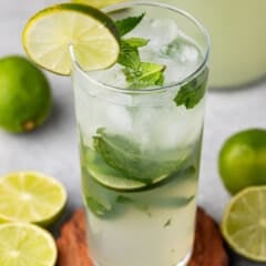 Pitcher Mojitos Recipe