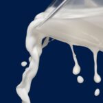 Image of Whole Milk Substitute Options