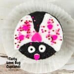 Tasty Love Bug Cupcakes