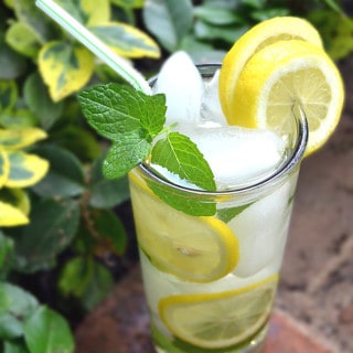 Meadow Tea - PA Dutch Iced Mint Tea