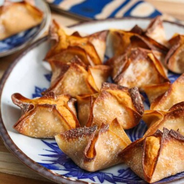 Air Fryer Salmon Rangoon