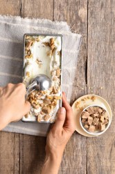 Churn-Free Peanut Butter Ice Cream Recipe