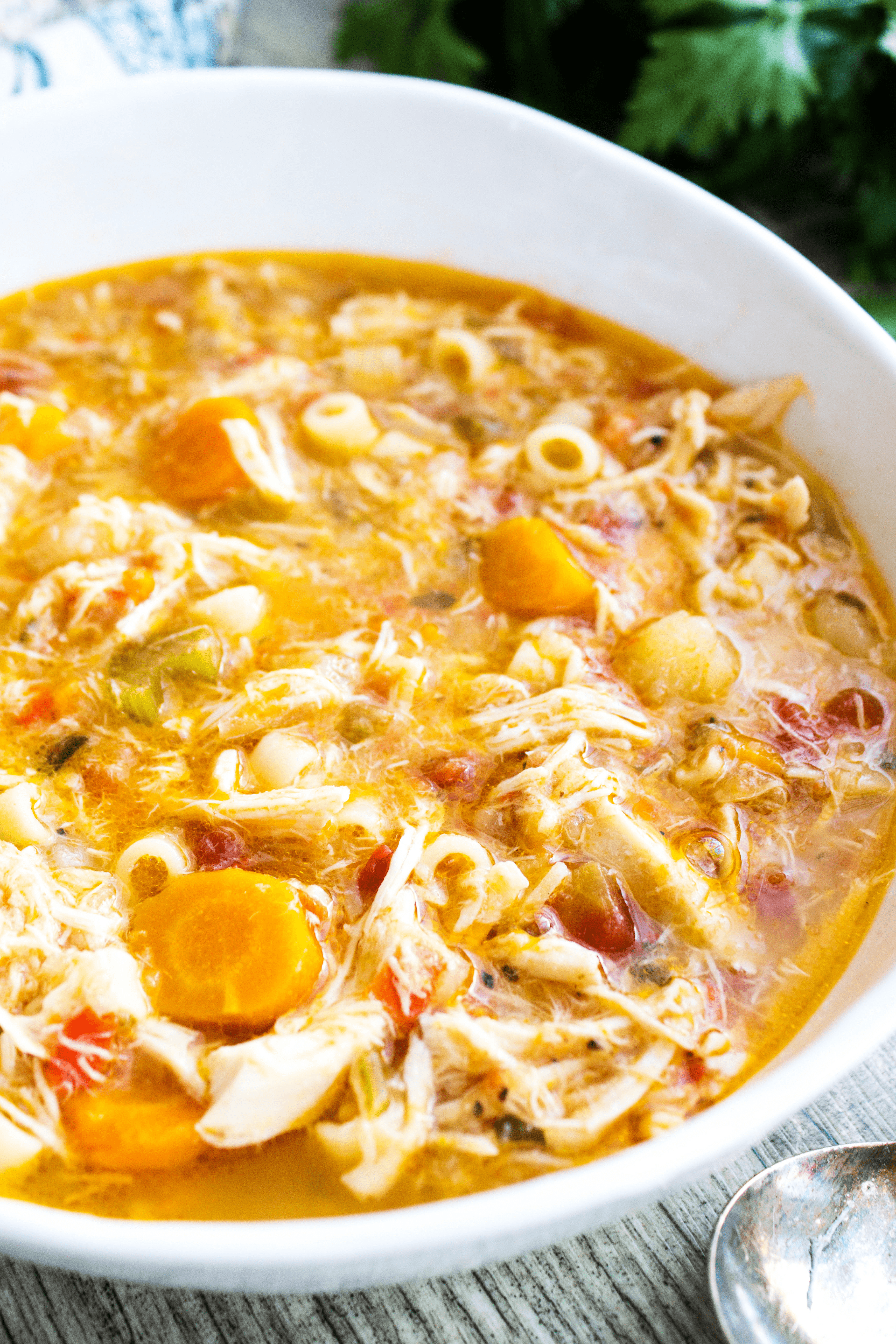 Image of Sicilian Chicken Soup
