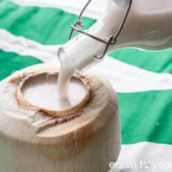 Image of Chinese Coconut Milk Drink