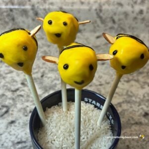 Bee Cake Pops Recipe