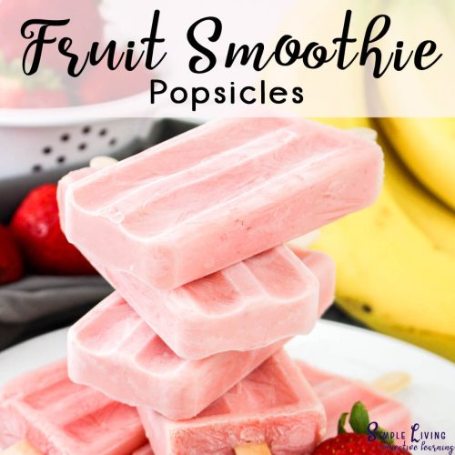 Fruit Smoothie Popsicles
