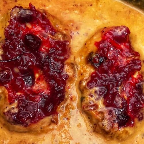 Image of 4 Ingredient Slow Cooker Cranberry Chicken