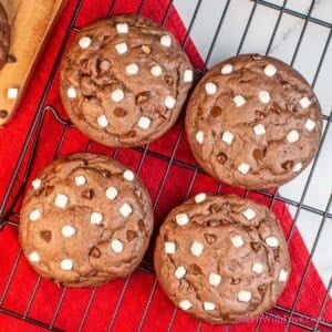 Image of Hot Chocolate Cookies