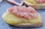 Image of Shrimp Tartare on Crostini
