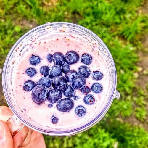 Vegan Strawberry Blueberry Smoothie