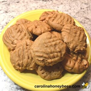 Image of Healthy Peanut Butter Honey Cookies