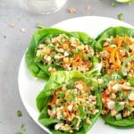 Healthy Asian Chicken Lettuce Wraps