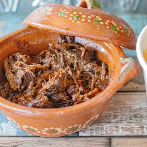 Instant Pot Beef Birria
