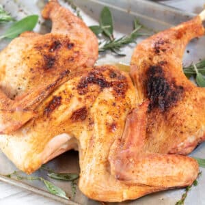 Image of Grilled Spatchcock Turkey