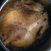 Instant Pot Slow-Cooked Chicken and Broth