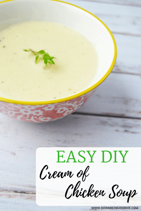 Easy DIY Cream of Chicken Soup