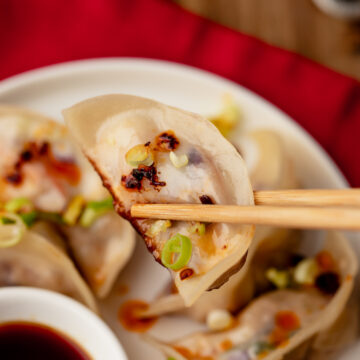 Vegetable and Tofu Dumplings