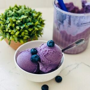 Ninja Creami Blueberry Ice Cream