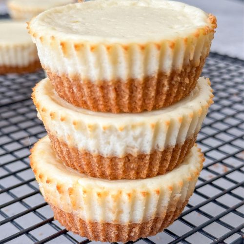 High Protein Healthy Cheesecake Bites