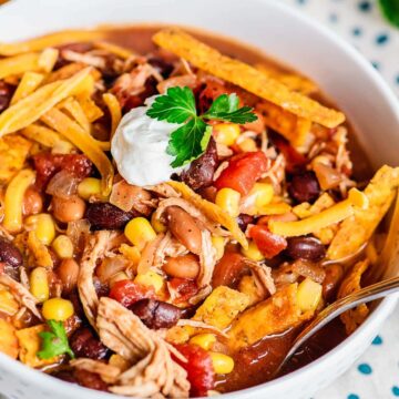 Slow Cooker Chicken Taco Soup