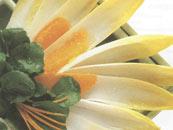 Chicory with Orange and Watercress