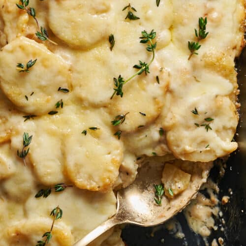Creamy Scalloped Au Gratin Potatoes