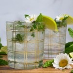Keto Mojito Recipe