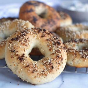 Gluten Free Bagels