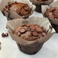Double Chocolate Zucchini Muffins Recipe