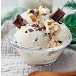 Ninja Creami Campfire S'mores Ice Cream Recipe