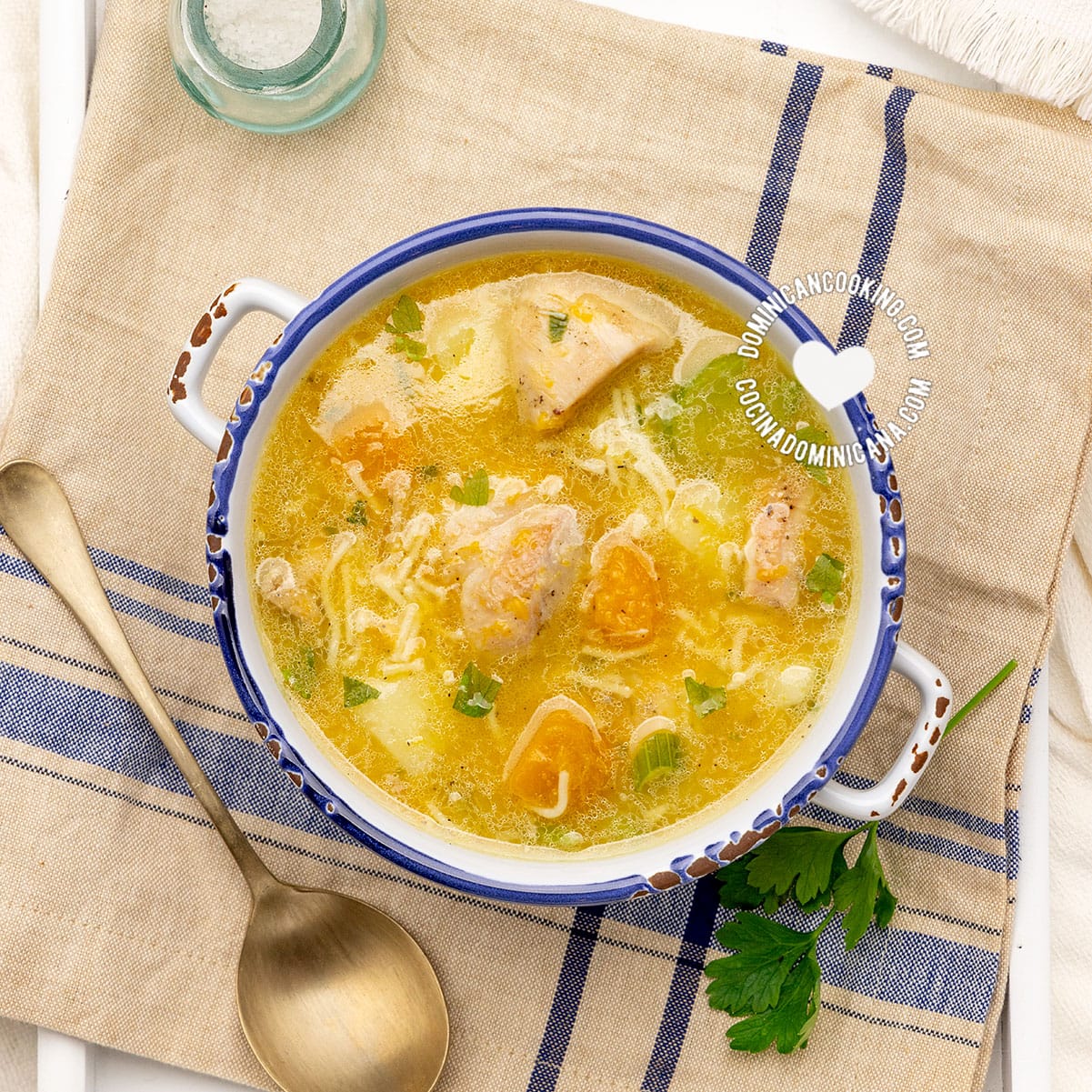 Sopa de Pollo o Gallina Criolla [Recipe + Video] Hen / Chicken Soup)