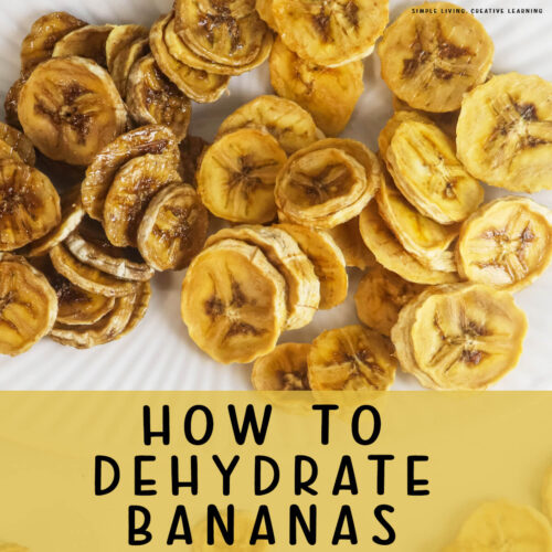 How to Dehydrate Bananas