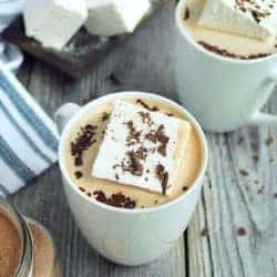 Healthy Homemade Hot Chocolate Mix (Dairy free)