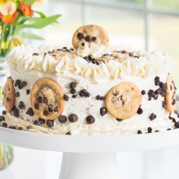 Chocolate Chip Cake