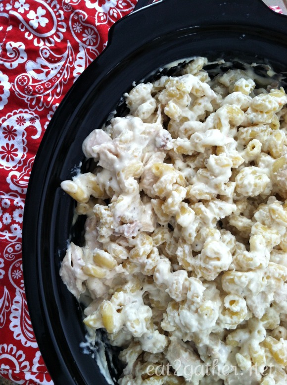 Chicken Alfredo for a Crowd