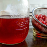 Red Currant Gin