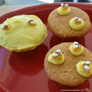 Honey Bee Cupcakes Recipe