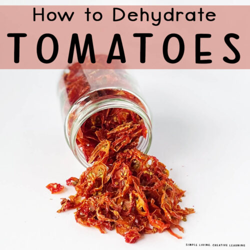 How to Dehydrate Tomatoes {And Make Tomato Powder}