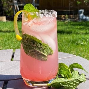 Watermelon Gin Cocktail