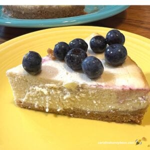 Easy Honey Cheesecake