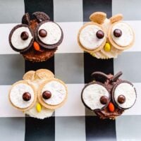 Owl Cupcakes