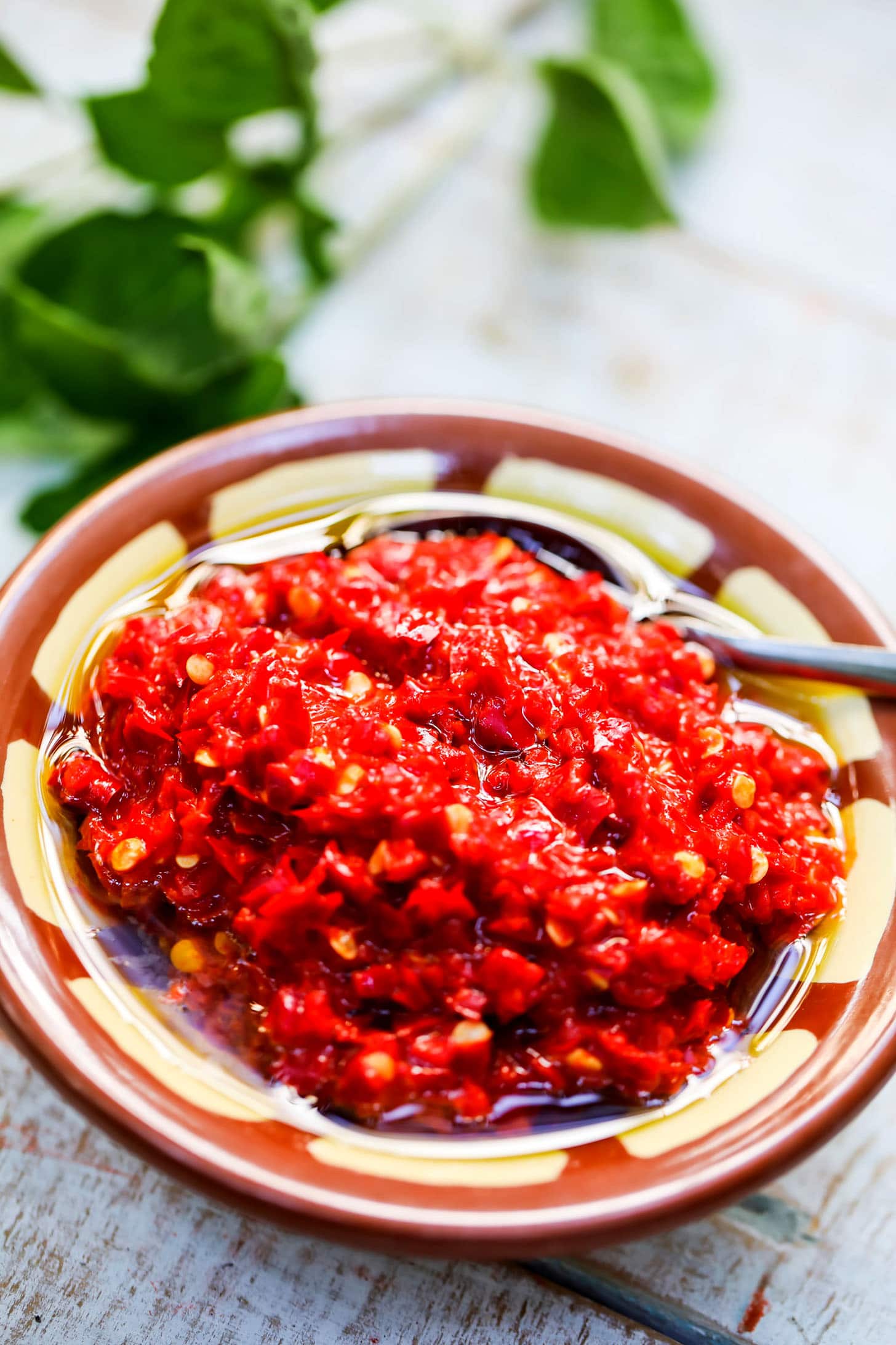 Harissa Paste Recipe