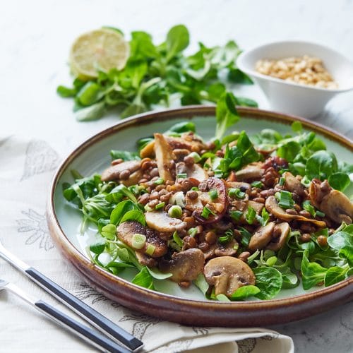 Lentil & Mushroom Salad