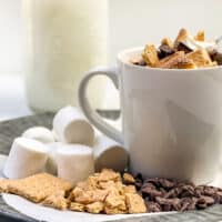 2 Minute S’mores Mug Cake