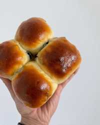 Soft Raisin Yogurt Buns