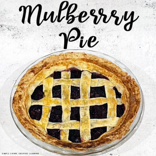 Mulberry Pie
