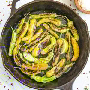 Blistered Shishito Peppers Recipe