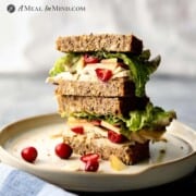 Chicken Apple-Brie Sandwich - Paleo