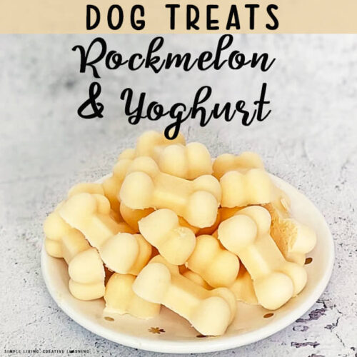 Rockmelon and Yoghurt Dog Treats